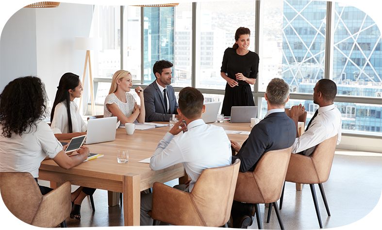 Meet Our Team